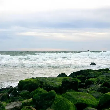 In Auf Sylt